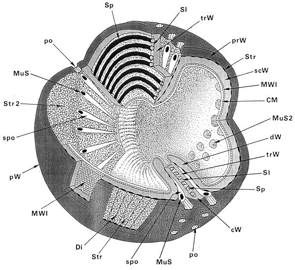 FIG. 18