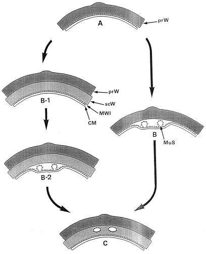 FIG. 8