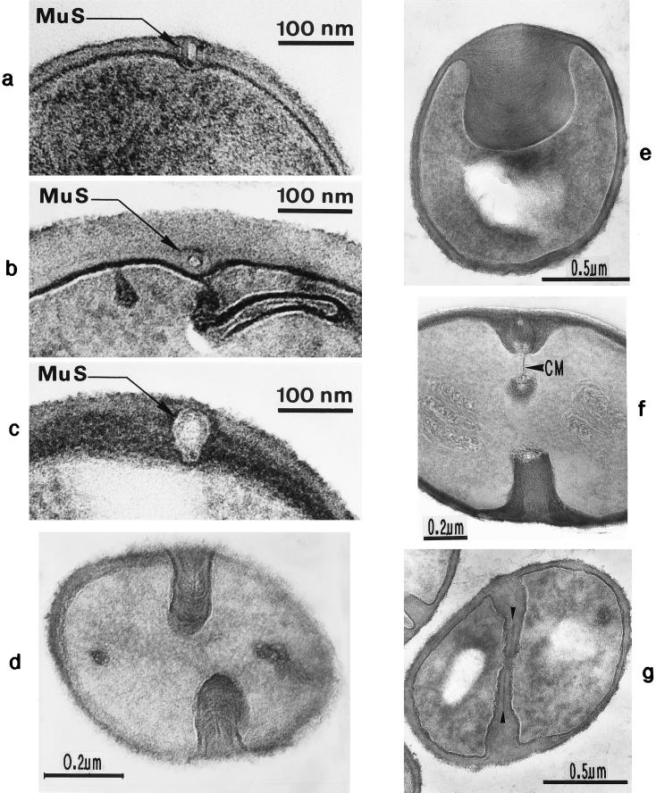 FIG. 9