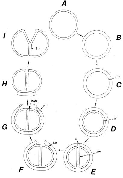 FIG. 17