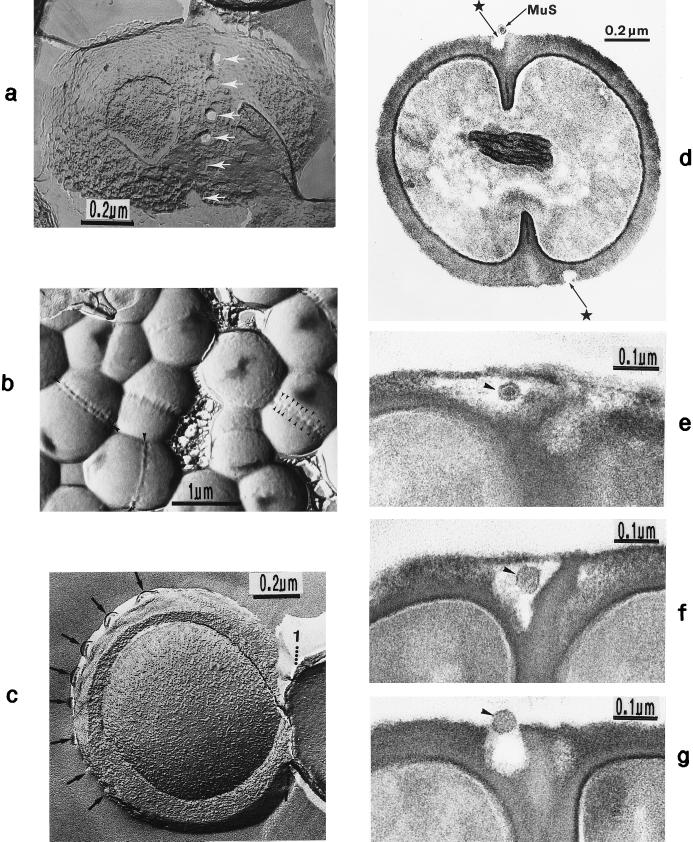 FIG. 10