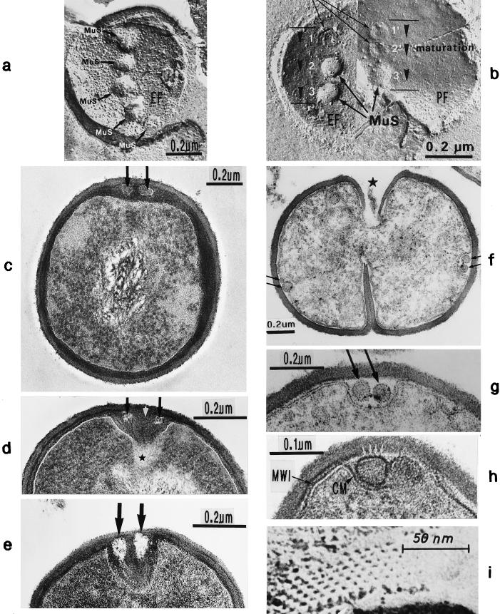 FIG. 6