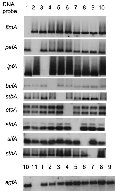 FIG. 2.