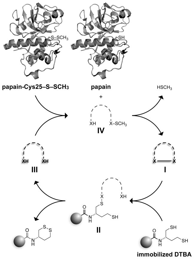 Scheme 2