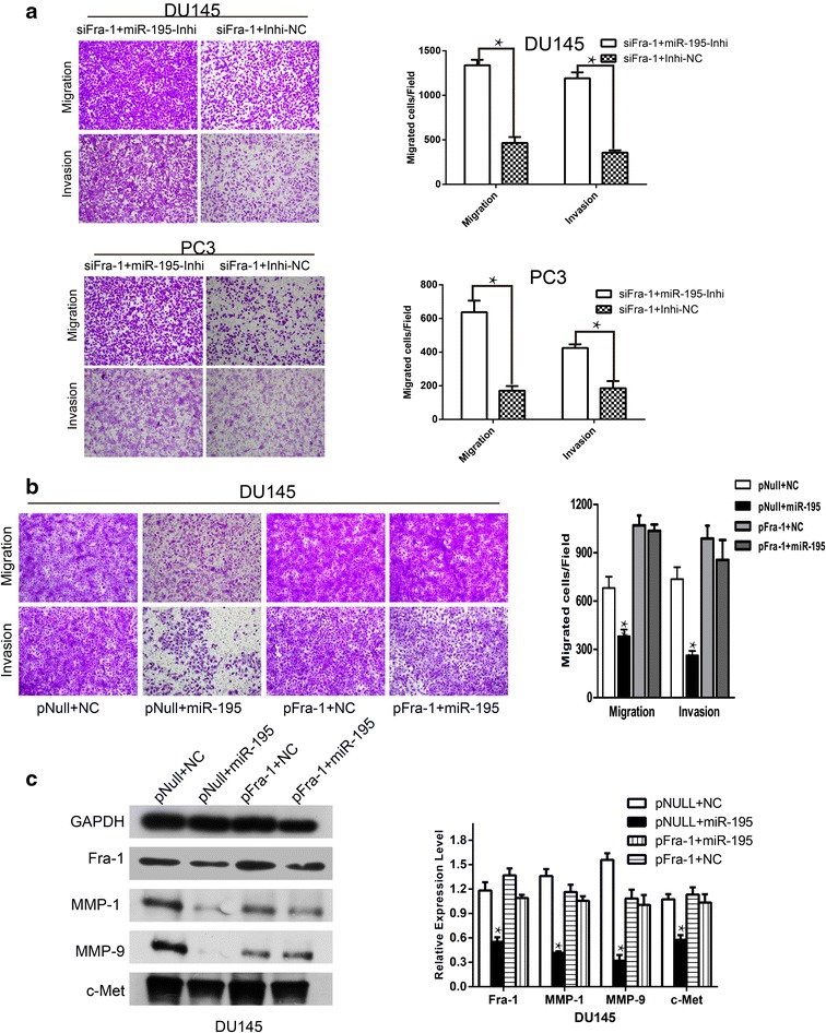 Fig. 7