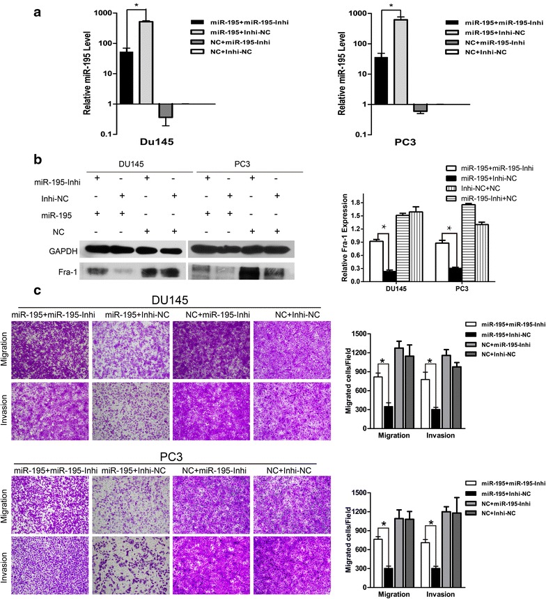 Fig. 6