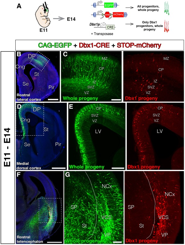 FIGURE 3