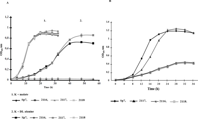 Fig 4