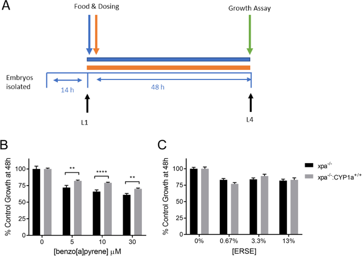 Figure 5: