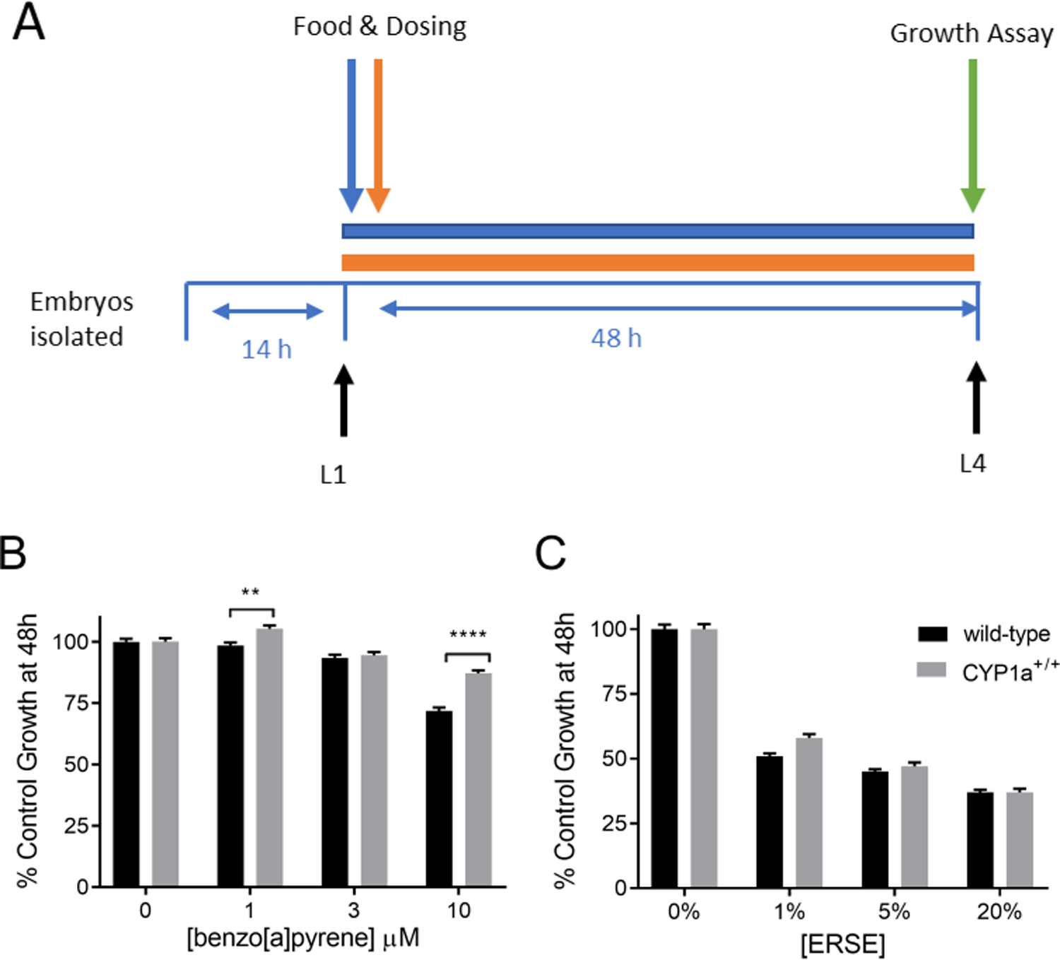 Figure 2: