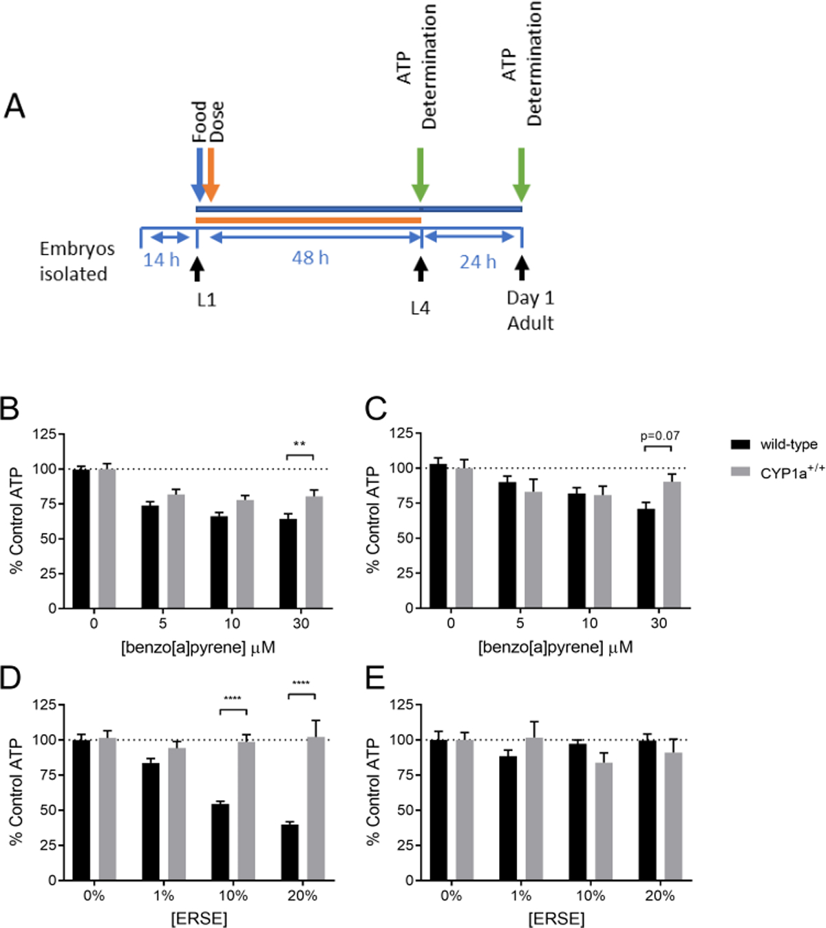 Figure 4: