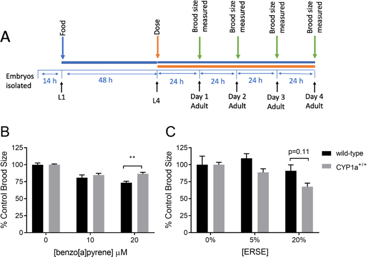 Figure 3: