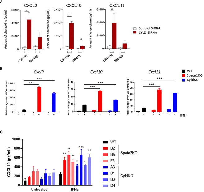 Figure 2