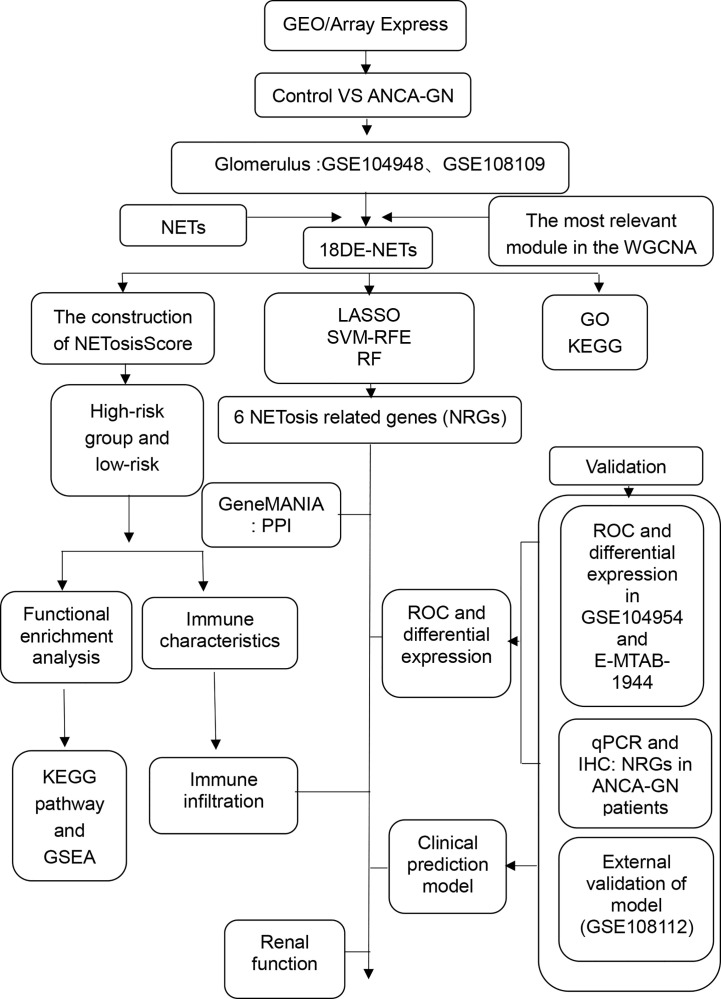 Figure 1