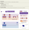 Structured Graphical Abstract