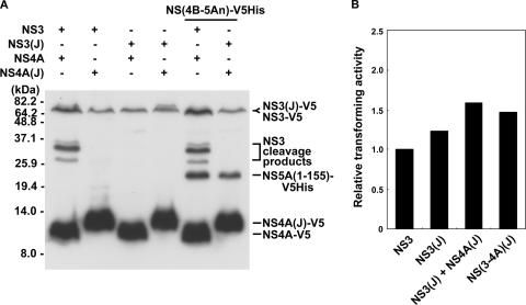 FIG. 9.