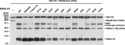 FIG. 5.