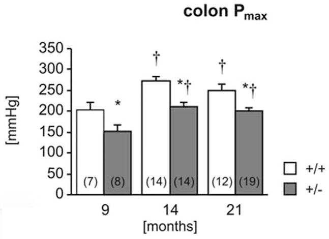 Figure 17