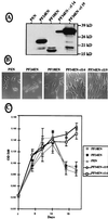 FIG. 8