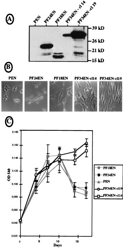 FIG. 8