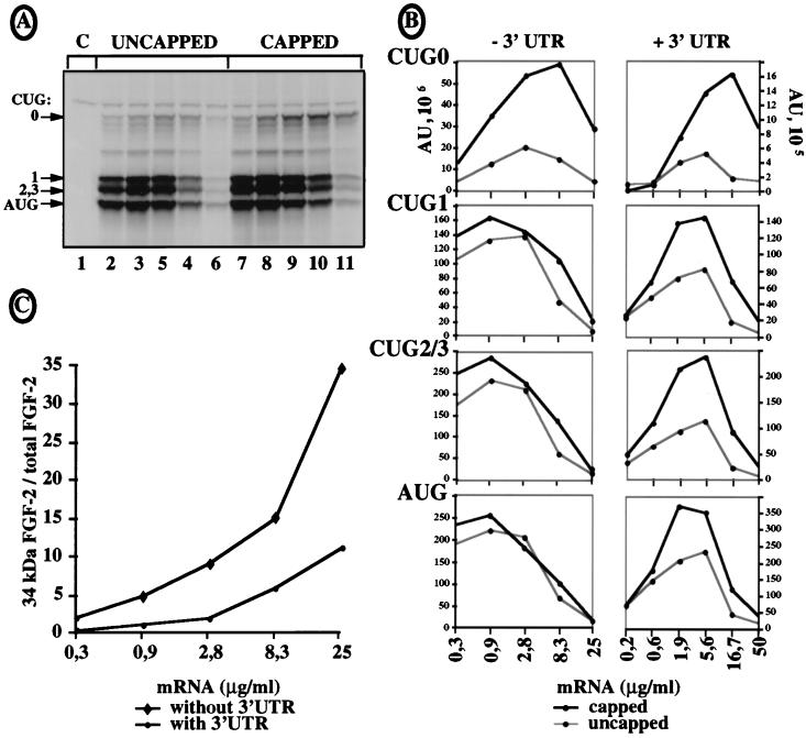 FIG. 6