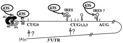 FIG. 10