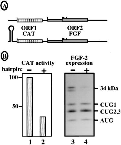 FIG. 7