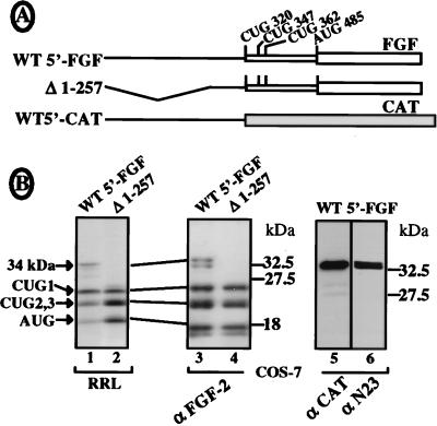 FIG. 3