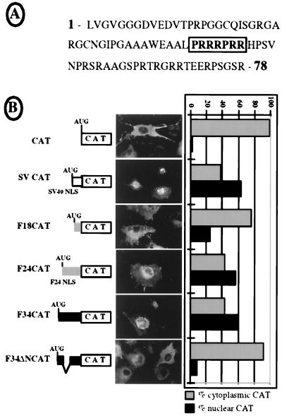 FIG. 9