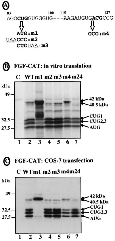 FIG. 5