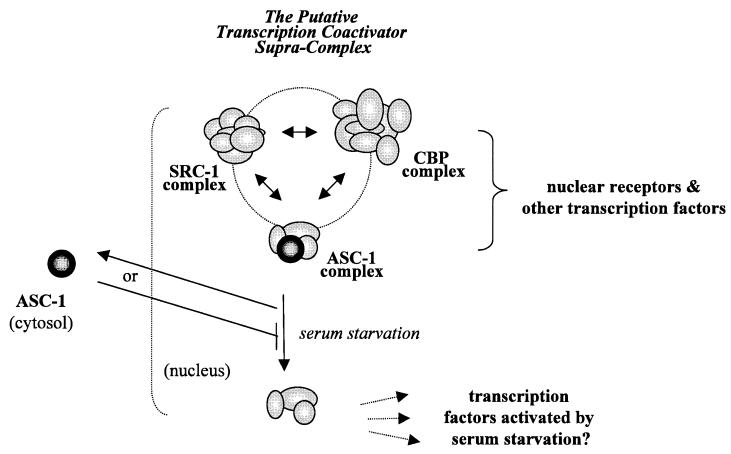 FIG. 10