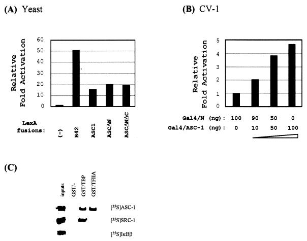 FIG. 3