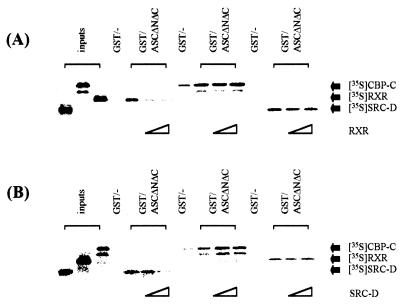 FIG. 7