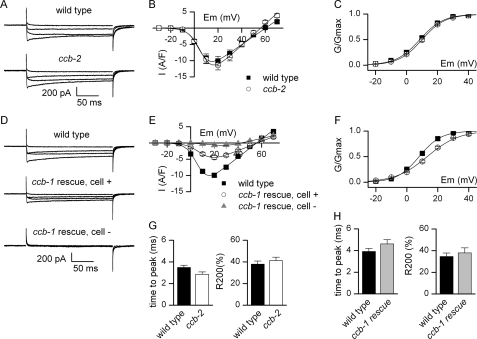 FIGURE 5.