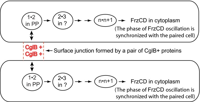 Fig. 5.