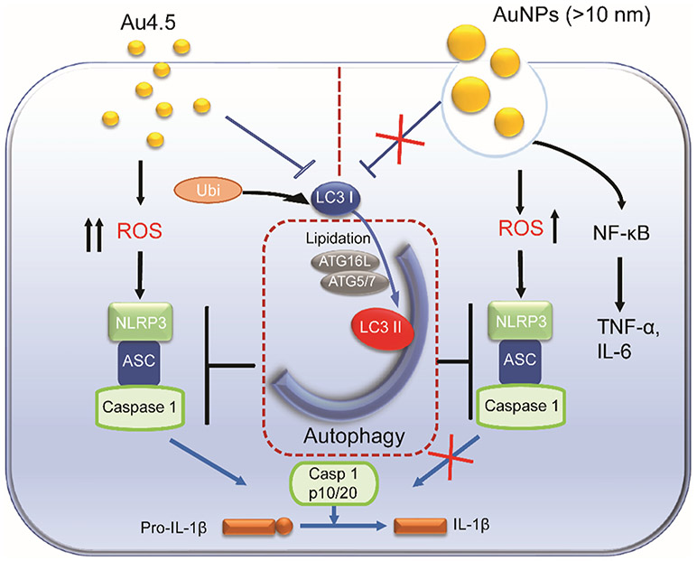 Figure 6.