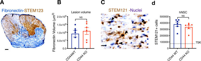 Figure 7—figure supplement 2.