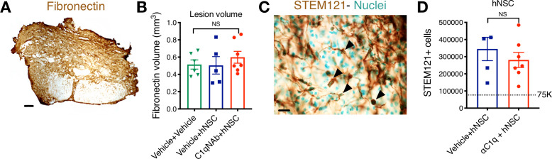 Figure 8—figure supplement 1.