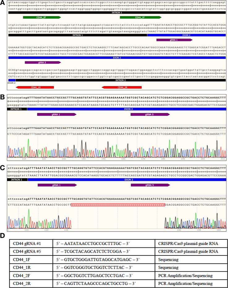 Figure 5—figure supplement 2.