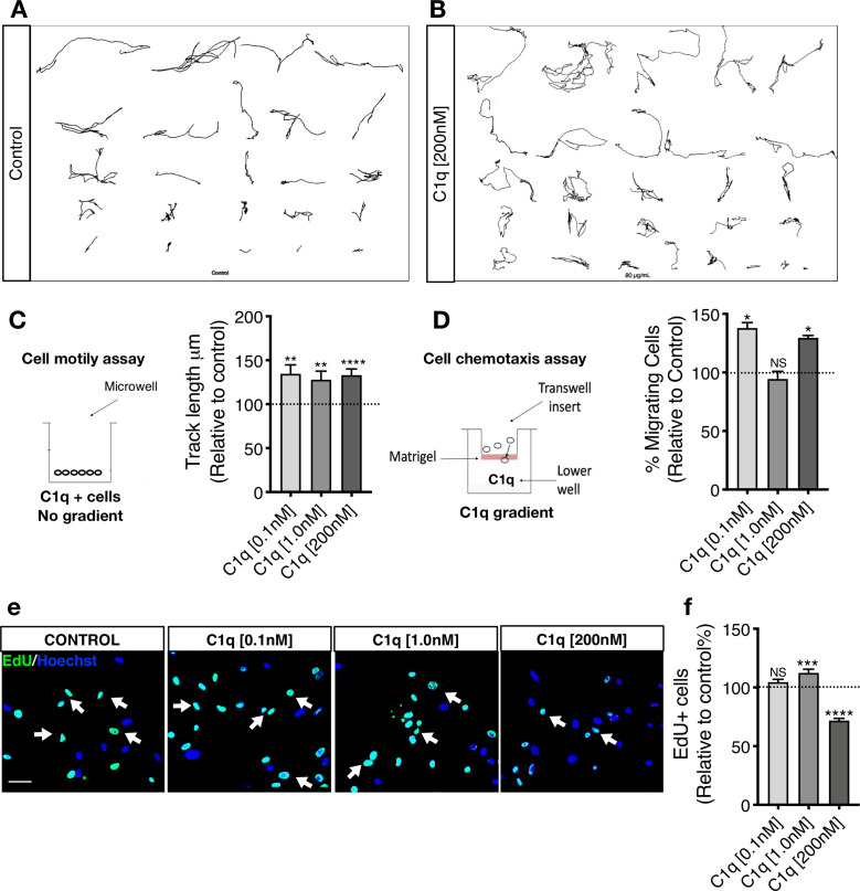 Figure 4—figure supplement 1.