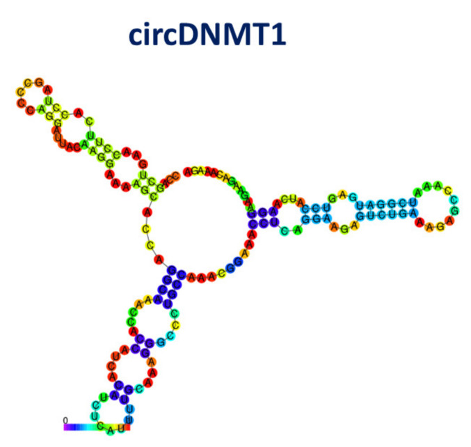 Figure 12