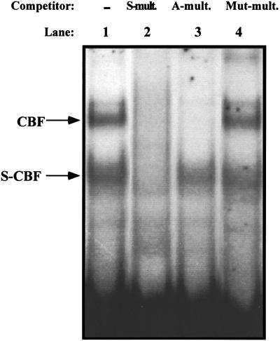 FIG. 5