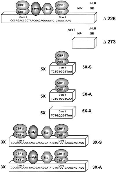 FIG. 1