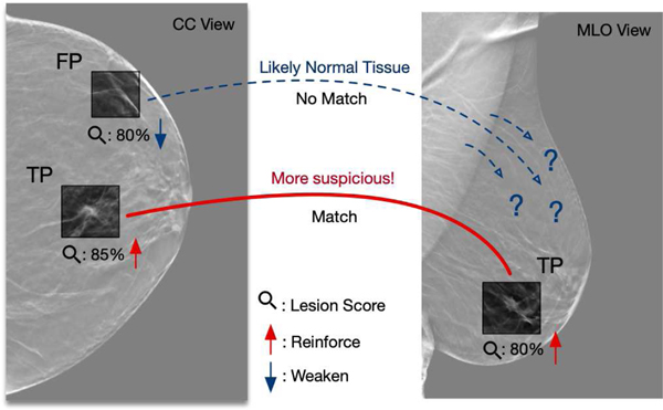 Fig. 1: