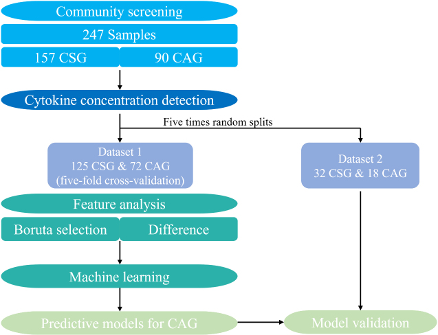 Figure 1.