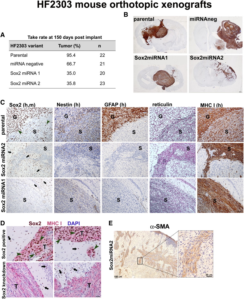 Figure 6