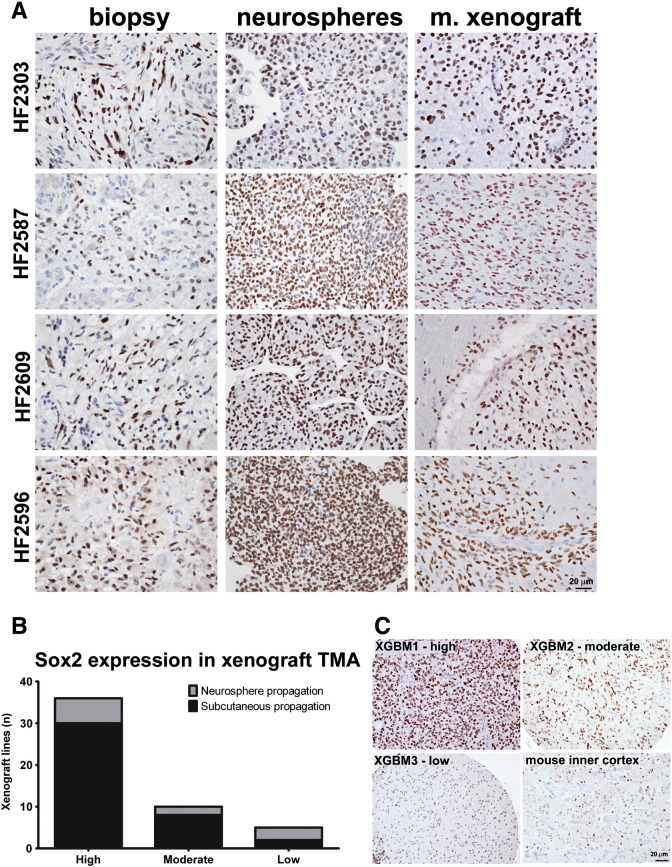 Figure 2