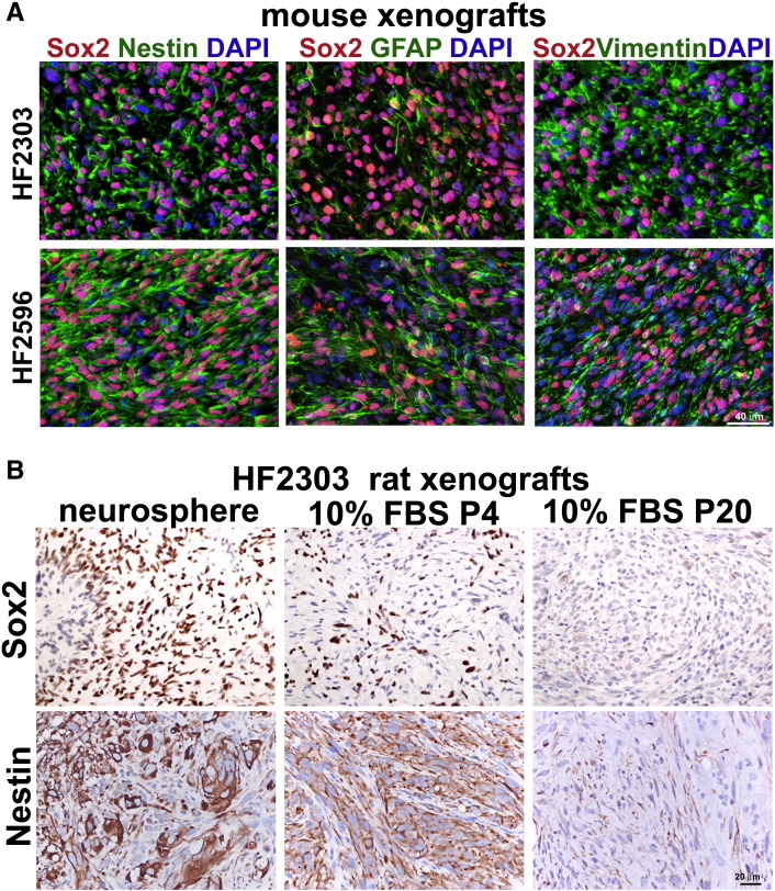 Figure 3