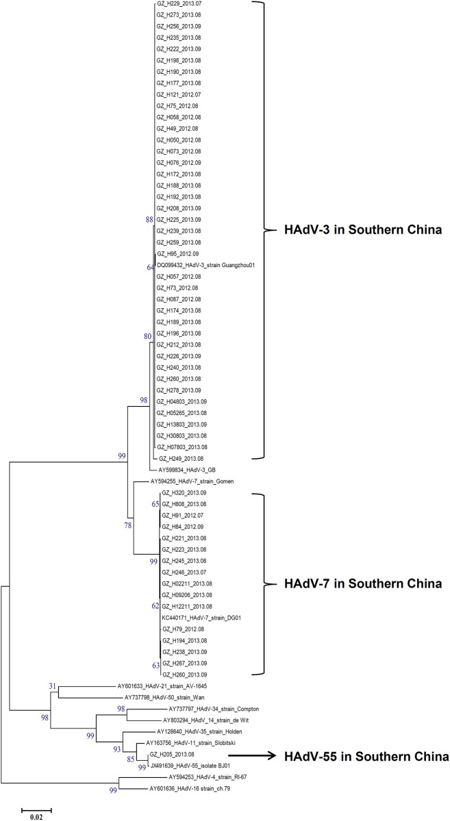 Fig 3