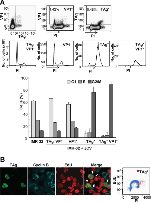 FIGURE 1.